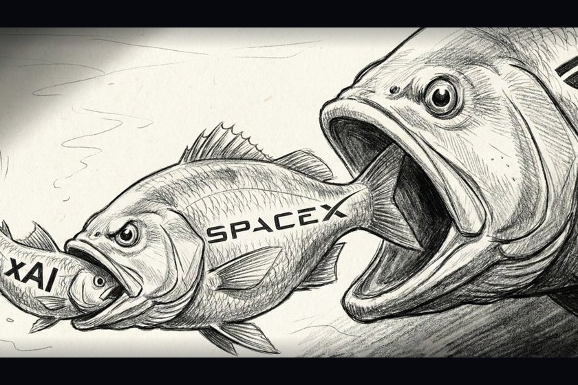 The Biggest Fish Is the Sun