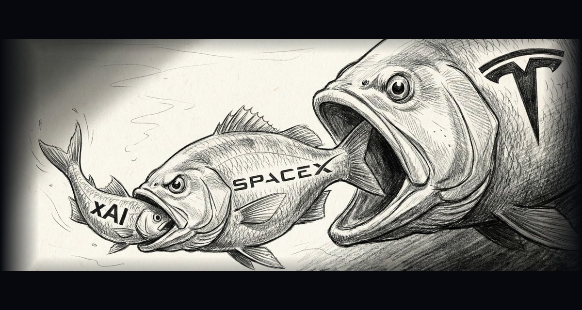Big fish eats little fish — Tesla absorbs SpaceX absorbs xAI